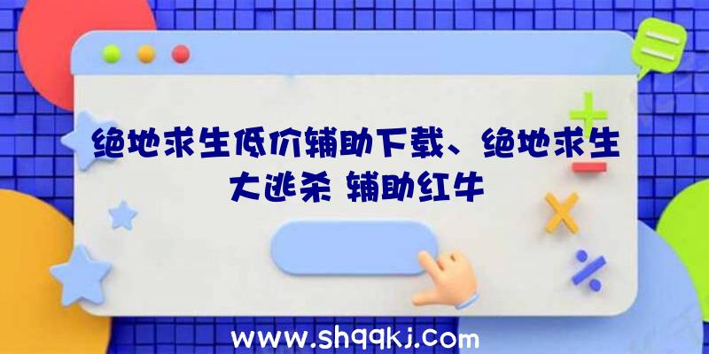 绝地求生低价辅助下载、绝地求生大逃杀